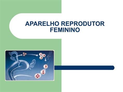 Anatomia E Fisiologia Do Sistema Reprodutor Feminino Ppt