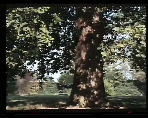 La Cage Aux Partouzes Hardcore Hardcore Porn By Titty Holes