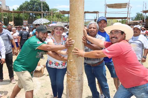 Siembran la ceiba en el ruedo tradicional Estatus Yucatán