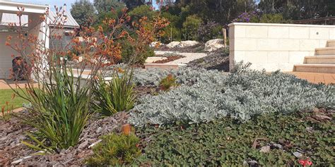 Landscaping Native Gardens Adelaide | Native Garden Design