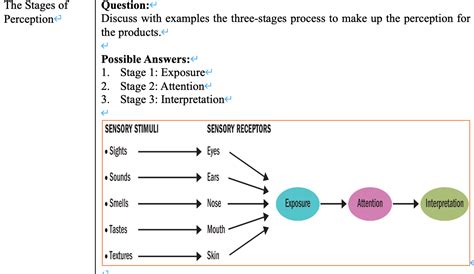 Solved The Stages of Perception Question: Discuss with | Chegg.com