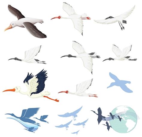 Free Vector | Set of different bird cartoon characters