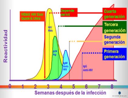 Pol Tica Maletero Reina Cual Es El Periodo Ventana Real Rancio Entregar