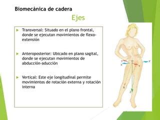 BIOMECANICA DE LA CADERA5648537846479823 Pptx