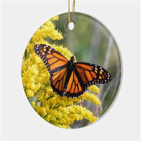 Monarch Butterfly Ornament Zazzle