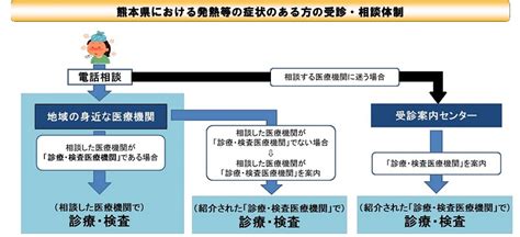 発熱等の症状がある場合の医療機関の受診についてのお願い 水俣市