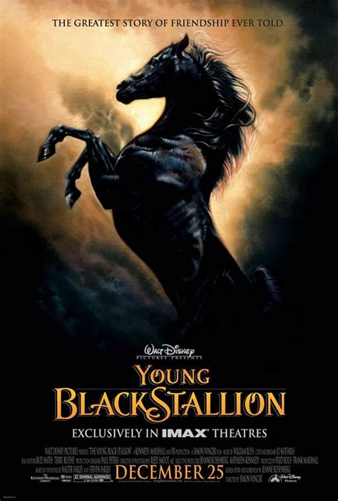 Young Black Stallion Movie Poster - IMP Awards