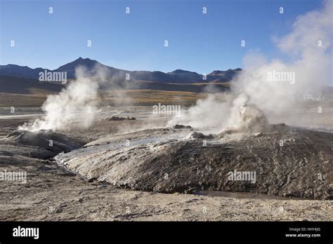 Bubbling, steaming geysers at Geysers del Tatio, Atacama Desert, Norte ...