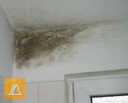 Гидроизоляция ванной комнаты под плитку. Зачем она нужна?