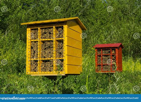 Homemade Nest Blocks for Mason Bees for Pollination of Plants Stock Image - Image of hives ...