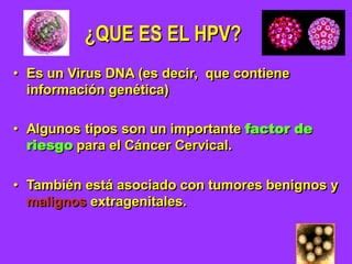 Que Hay Que Saber Del Hpv Y El Cancer De Cuello Uterino Ppt