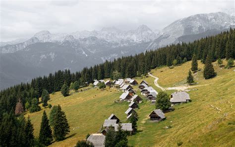 Casas En El Bosque Fondo De Pantalla 4k HD ID 10716