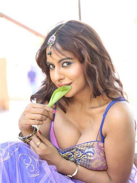 Actress Sri Reddy Hot Navel Show Photos Southcolors