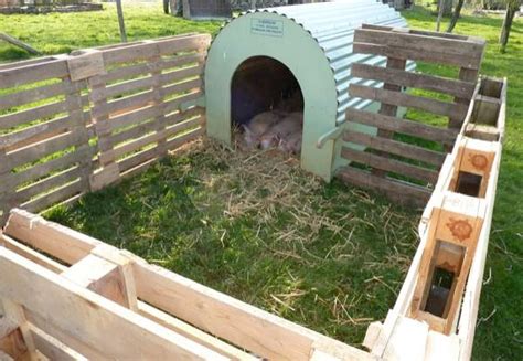 Diy Pig Pen Plans That Arent Less Than A Home Teb Diy