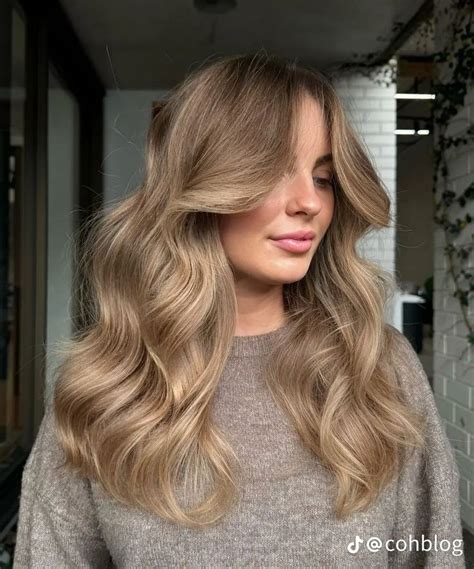 Pin By Chloe On HAIRCOLOR In 2024 Summer Blonde Hair Beige Blonde