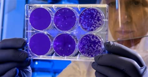 Rise of the mutants: New uOttawa-led research to improve enzyme design ... 