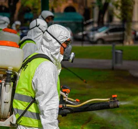 Empresa de Fumigación y Control de Plagas en Miraflores