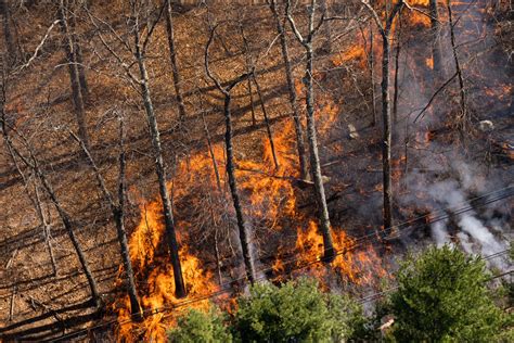 Dry Winter Leads To Busy Wildfire Season In New Jersey New Jersey Monitor