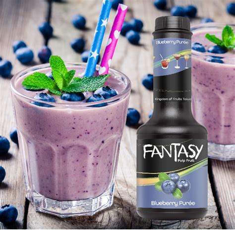 Fantasty Blueberry Puree Products Dreamfield Food And Beverage Corp