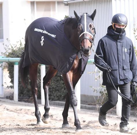 コスモキュランダ 皐月賞はモレイラとの新コンビで 競馬ニュース Netkeiba