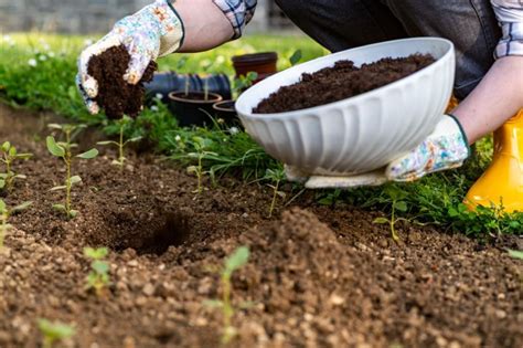 Cómo hacer compost casero de forma sencilla