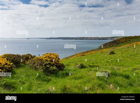Pembrokeshire Coast Towards Newgale And Rickets Head St Brides Bay