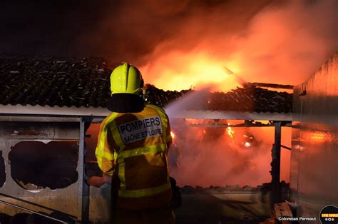 Une Stabulation En Proie Aux Flammes Frontenard