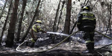 Hay 17 Incendios Activos En Colombia Según Las Autoridades Ambientales