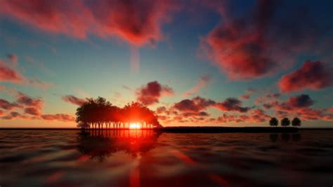 Guitar Trees Over Ocean At Stock Footage Video 100 Royalty Free