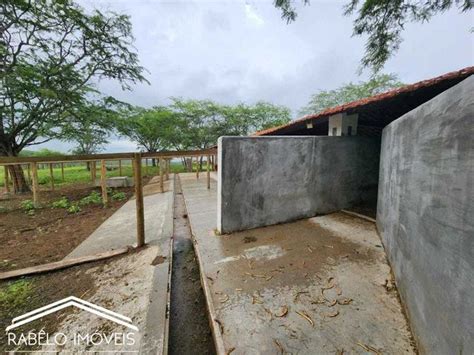 Fazenda Em Gravat Hectares Terrenos S Tios E Fazendas Rea