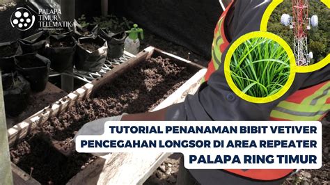 UPAYA FOP PTT TIMIKA CEGAH LONGSOR TUTORIAL PENANAMAN BIBIT VETIVER