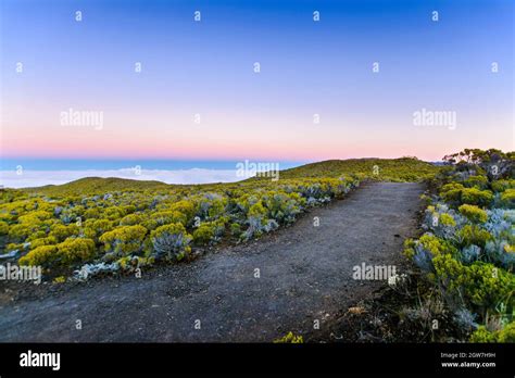 Hiking trail at volcanic area of Reunion Island Stock Photo - Alamy