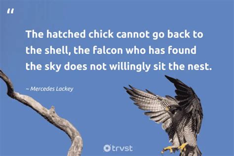 20 Falcon Quotes To Soar Your Spirits High