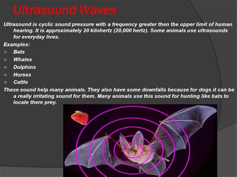 Infrasonic Sound Examples