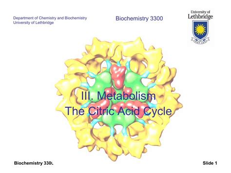 Pdf Iii Metabolism The Citric Acid Cyclepeople Uleth Ca ~steven