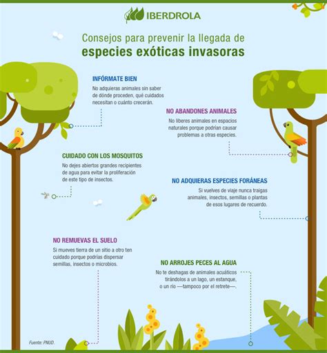 Especies Exóticas Invasoras Qué Son Y Cómo Afectan Iberdrola Iberdrola