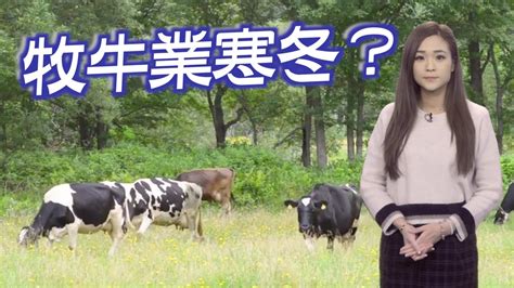 【oncc東網】東網點評：生產成本上漲 衝擊北海道牧牛業 Youtube