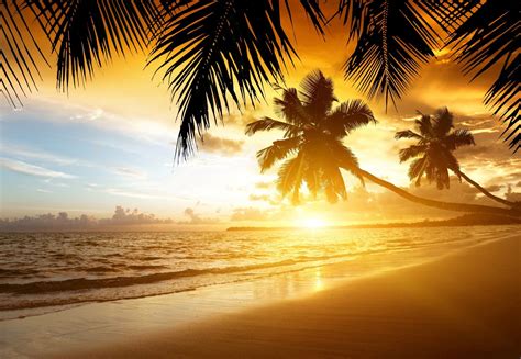 Tropical Sunset Paradise Beach Coast Sea Ocean Palm Summer Sand Tropics Beach Sand Sea Beach