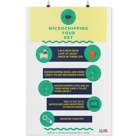 Microchipping Your Pet Poster Pets Education Poster Vet Clinics