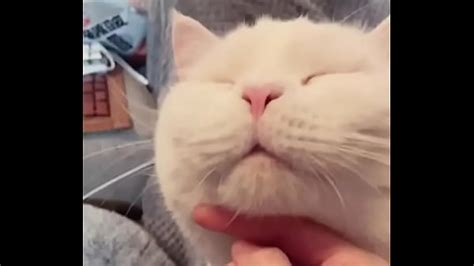 Welfare Ji Fully Nude Xxx Mobile Porno Videos Movies IPornTV Net