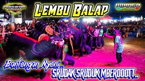 Dj Bantengan Terbaru Lembu Balap Jogetan Gayeng Full Saweran Live