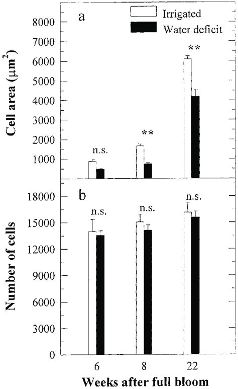 Mesocarp cell area (a) and mesocarp cell number (b) measured on ...