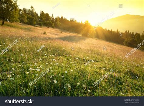 Field Mountains During Sunrise Natural Landscape Stock Photo 270748664 | Shutterstock