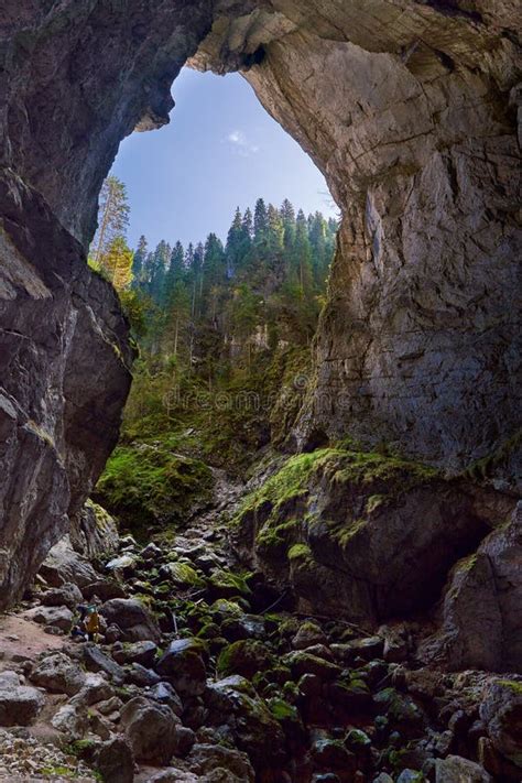 Entrance of a big cave stock image. Image of outdoor - 203026015