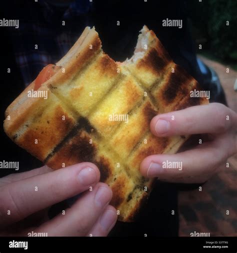 Braai Broodjie” A Sandwich Cooked On A Barbecue Or Braai” South