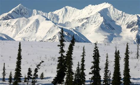 Alaska Snowfall Record: Heaviest Snowfall In The United States - PROVIDR