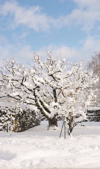 D Importantes Chutes De Neige Attendues