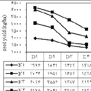 Interaction Effect Of N Rate And Sowing Date On Seed Yield Kgha