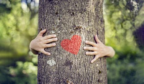 english phrases   environment