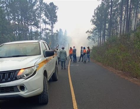 Fuego De Masa Vegetal Consume Varias Hect Reas De La Reserva Forestal